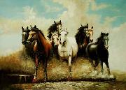 Horses 041